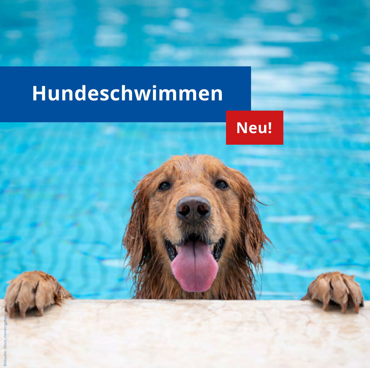 Du betrachtest gerade 22.09.2024 | Hundeschwimmen im Freibad