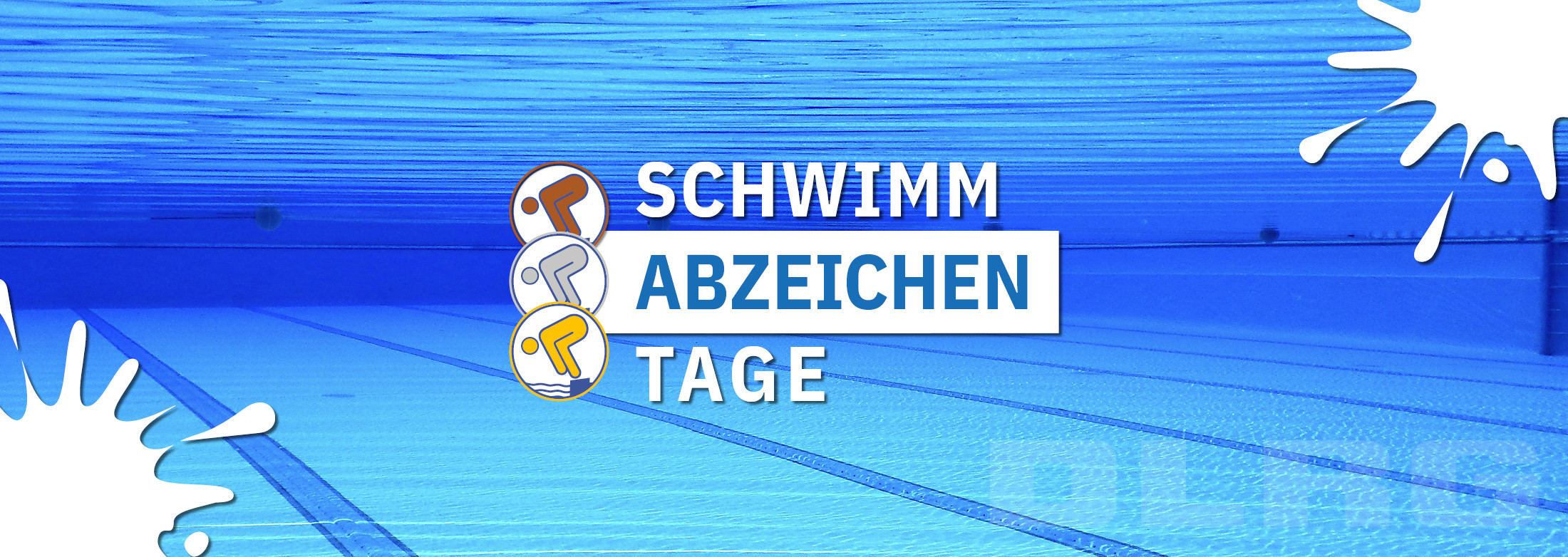 Mehr über den Artikel erfahren 21.06.2026 | DLRG Tag des Schwimmabzeichens